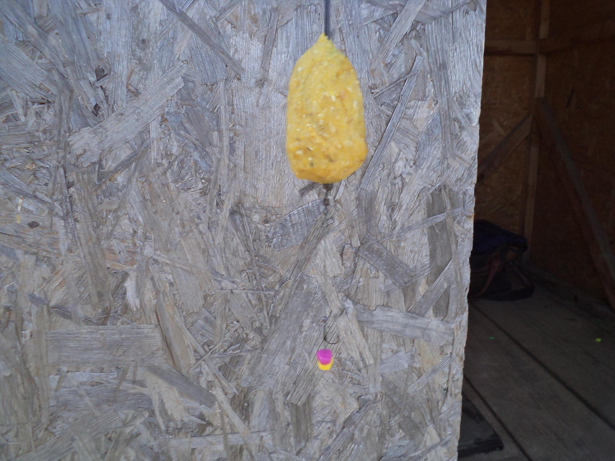 Magura 9 - 16.03.2014 - dsc01757.JPG